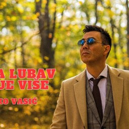 Željko Vasić – Jedna ljubav manje više