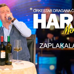 Harun Mehmedagić – Zaplakala Bosna